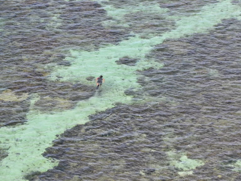 Fountaine Pajot Bahia 46 mieten Nouméa