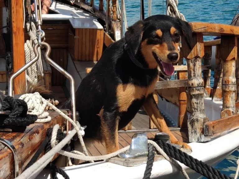 YachtCharter in Crikvenica - GAJETA EX-LIFEBOAT auf SamBoat