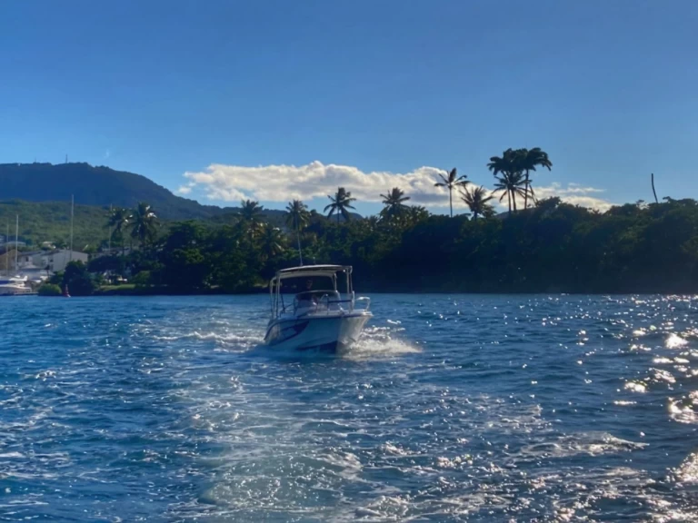 YachtCharter in Les Trois-Îlets - Lobster marion 7,3 auf SamBoat