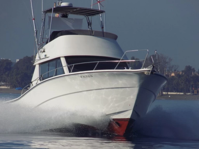 Boot mieten Puerto Banús günstig Rodman 1250 Sport