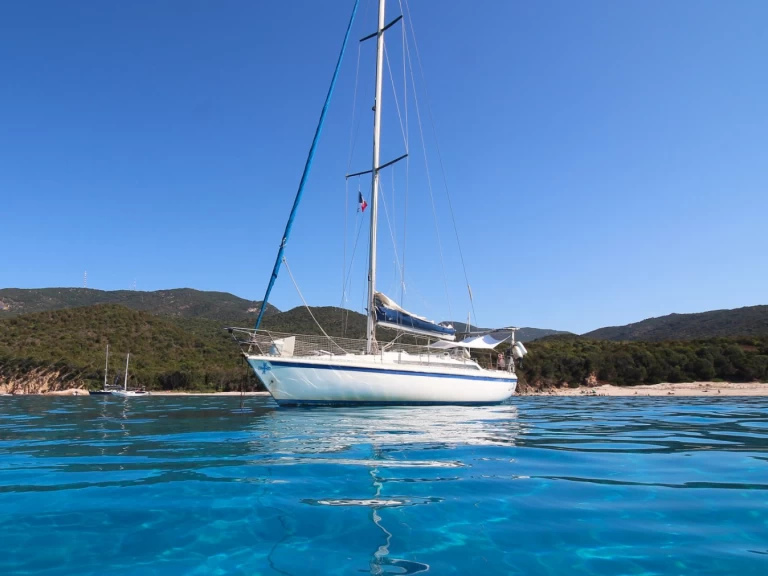 Bootsverleih Gibert Marine gibsea 114 Ajaccio Samboat