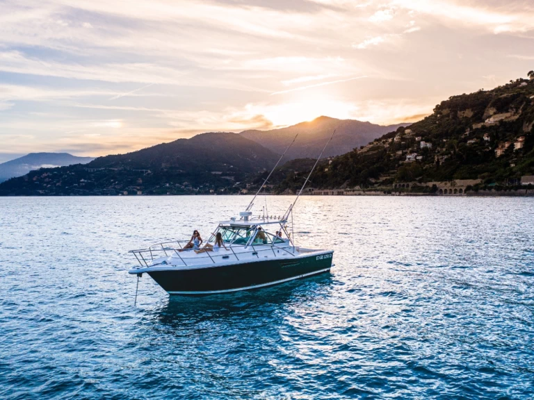 Vermietung Motorboot PURSUIT  mit Führerschein