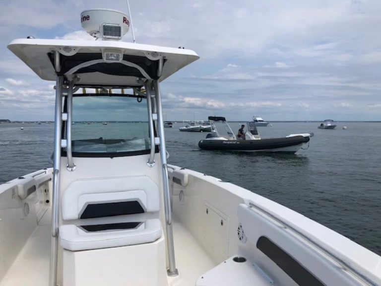 Boot mieten Piraillan günstig Scarab 30 Open