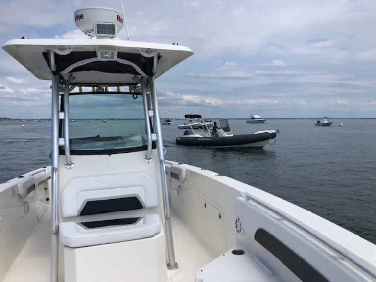 Motorboot mieten in Piraillan - Wellcraft Scarab 30 Open