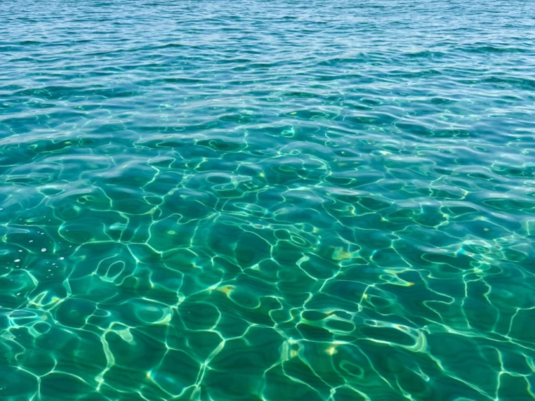 Vermietung Motorboot Sea Ray mit Führerschein