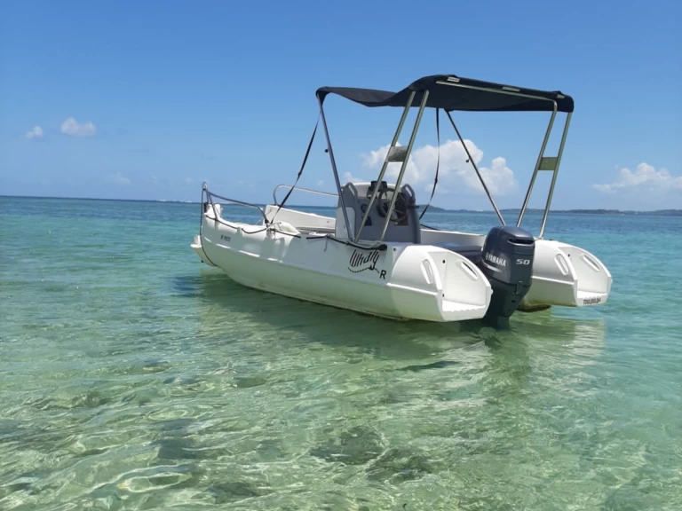 Vermietung Motorboot Whaly mit Führerschein