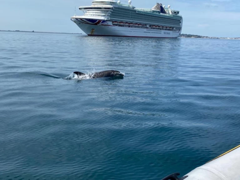 Segelboot mieten in Weymouth Bay zum besten Preis