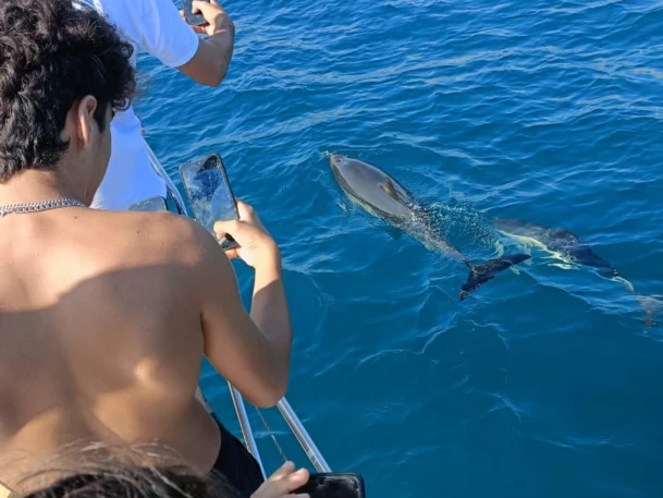 Segelboot mieten in Fuengirola zum besten Preis