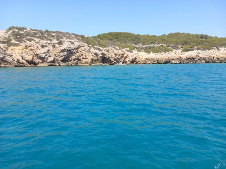 YachtCharter in Vilanova i la Geltrú - Four Winns Horizon 210 auf SamBoat