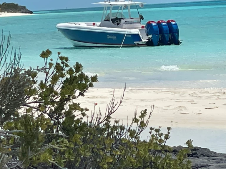 Vermietung Motorboot Intrepid mit Führerschein