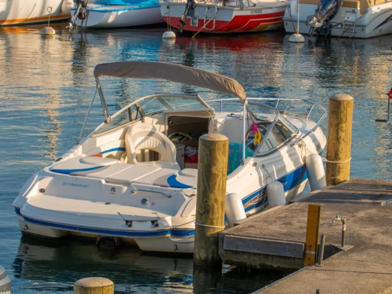 Motorboot mit oder ohne Skipper Stingray mieten in Genf (District)