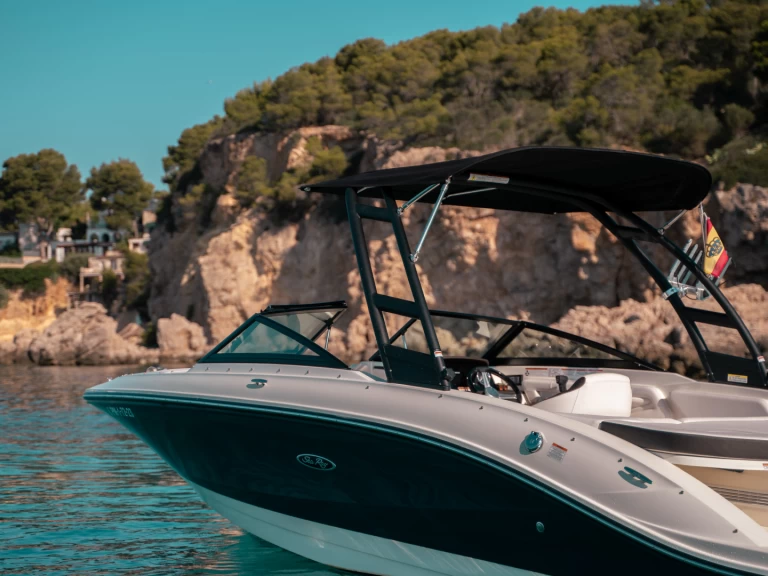 Vermietung Motorboot Sea Ray mit Führerschein