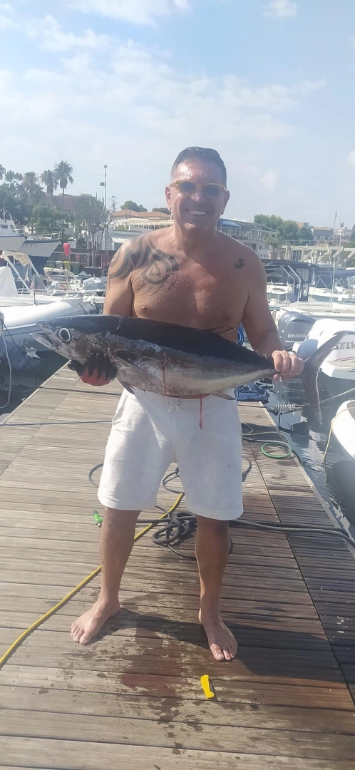 Bootsverleih Sealine Ambassador 360 Ognina - Picanello - Barriera - Canalicchio Samboat