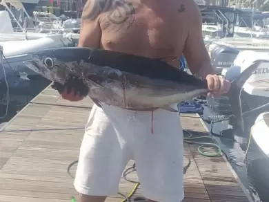 Bootsverleih Sealine Ambassador 360 Ognina - Picanello - Barriera - Canalicchio Samboat