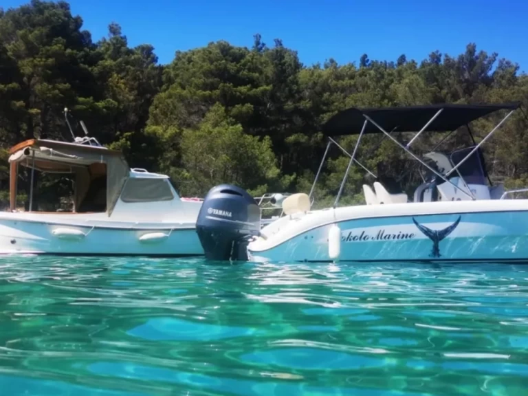 Vermietung Motorboot Fisher mit Führerschein