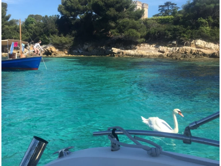 Chris Craft Sea Hawk 213 mieten Cannes