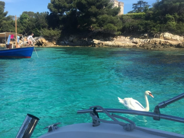 Ranieri Shadow 22 S mieten Cannes