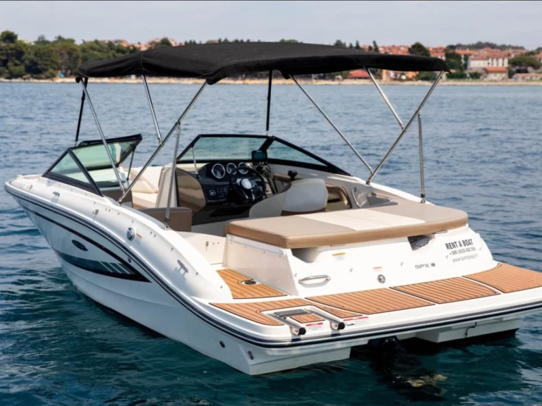 Vermietung Motorboot Sea Ray mit Führerschein