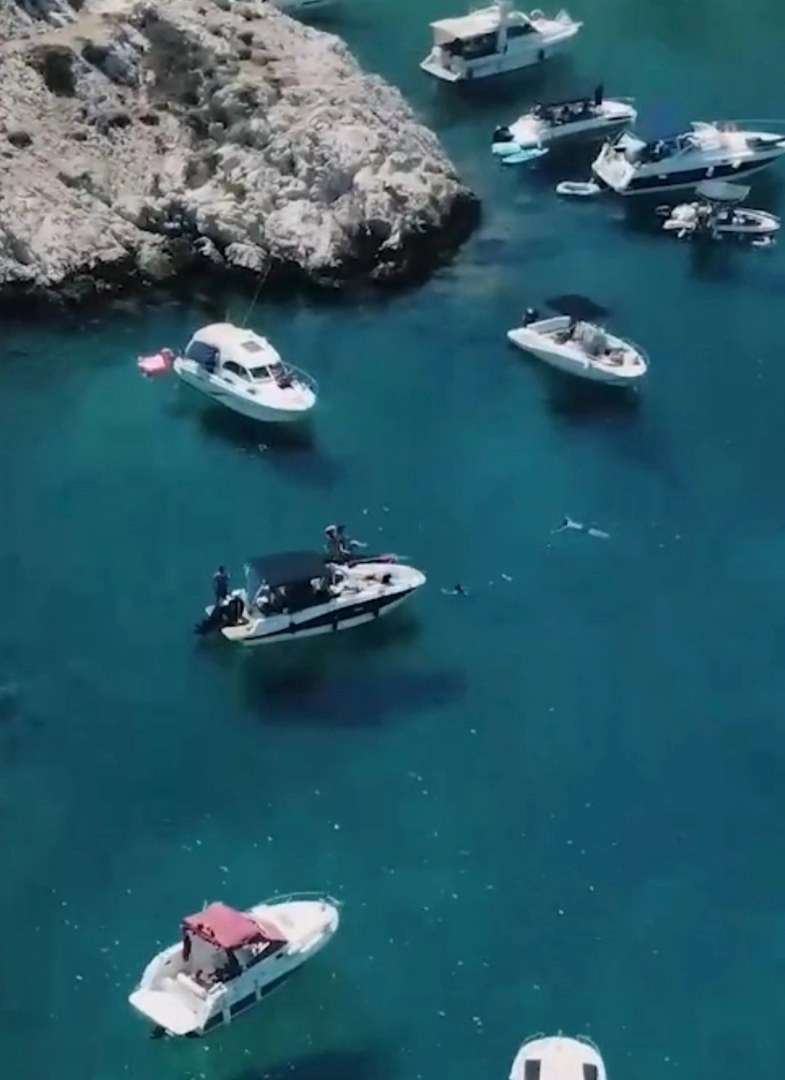YachtCharter in Marseille - Quicksilver Activ 605 Open auf SamBoat