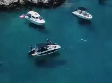 YachtCharter in Marseille - Quicksilver Activ 605 Open auf SamBoat