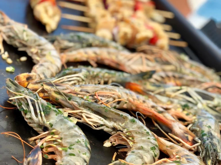 Vermietung Katamaran Plan-Caroff mit Führerschein