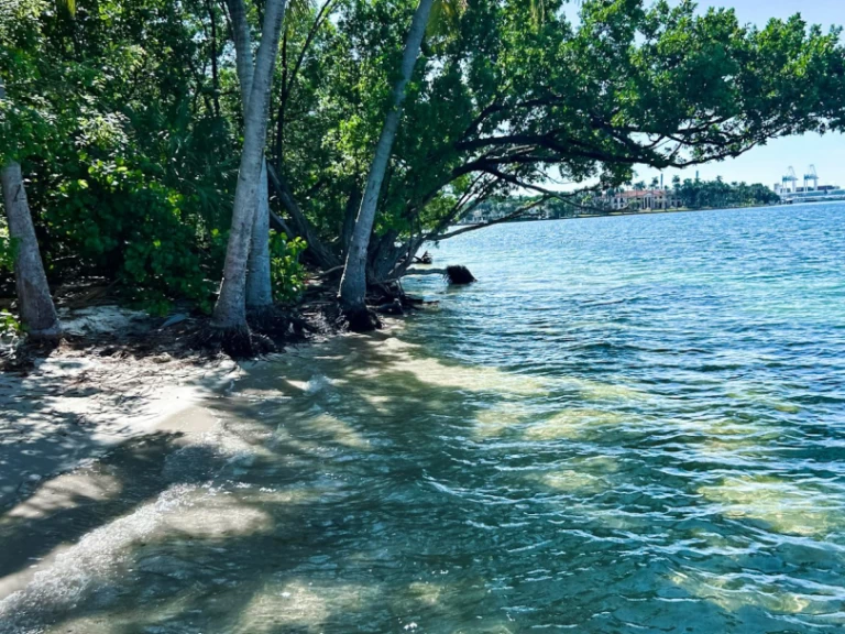 Sea Ray Sea Ray 270 Sundeck Outboard mieten Miami