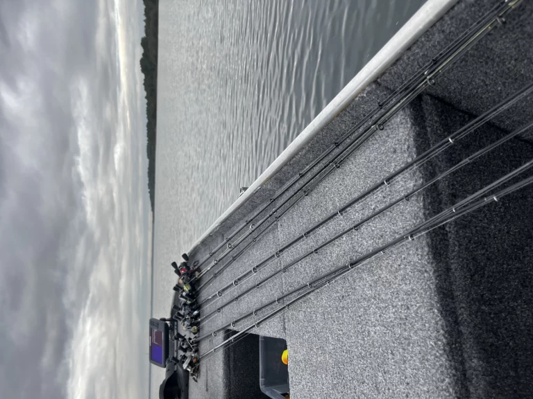 Vermietung Motorboot La Maltiere mit Führerschein