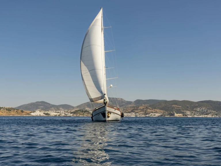 Vermietung Segelboot Custom Made mit Führerschein