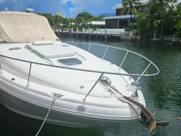 Vermietung Motorboot Sea Ray mit Führerschein
