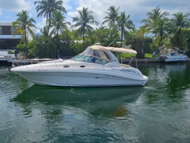 Sea Ray Sea Ray 340 Sundancer mieten Miami