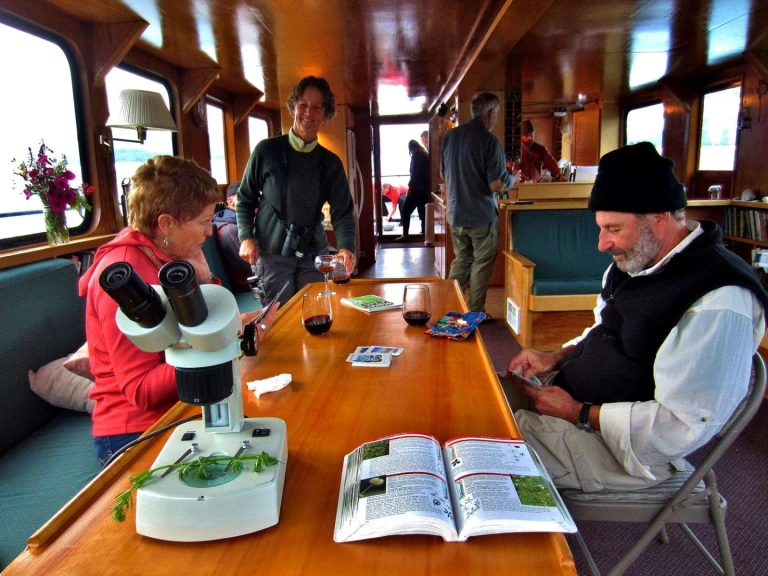 Yacht mieten in San Juan Islands zum besten Preis