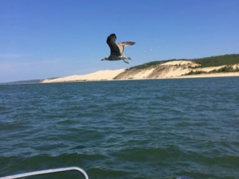 Vermietung Motorboot Bénéteau mit Führerschein