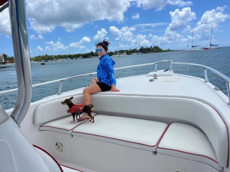 YachtCharter in Bayahíbe - Yamaha Yamaha VX auf SamBoat