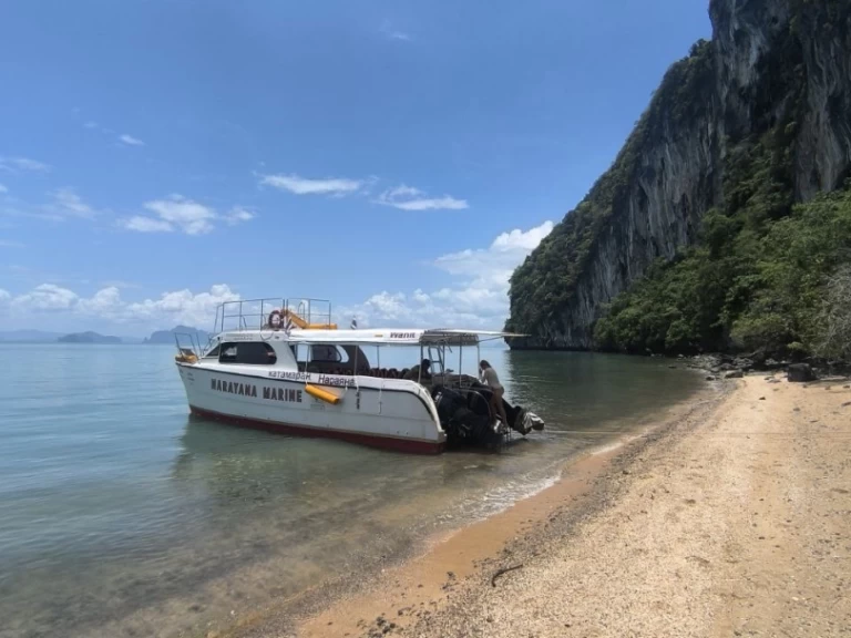 Vermietung Katamaran Austhai At mit Führerschein