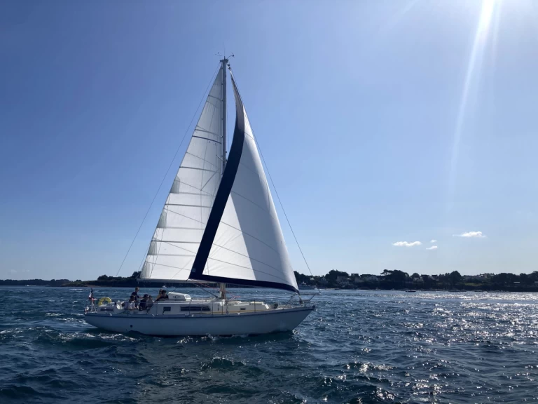 Ein Amel kirk 36 mieten in Saint-Mandrier-sur-Mer