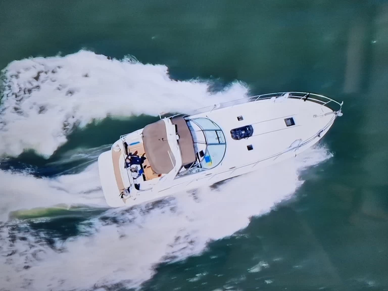 Vermietung Motorboot Sea Ray mit Führerschein