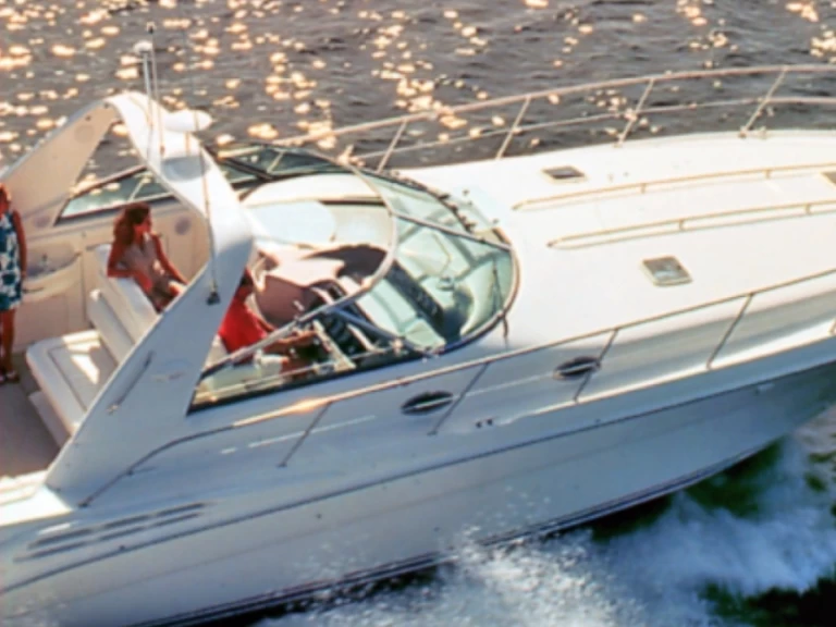 Vermietung Motorboot Sea Ray mit Führerschein