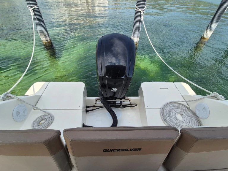 Motorboot mit oder ohne Skipper Quicksilver mieten in Bodman-Ludwigshafen