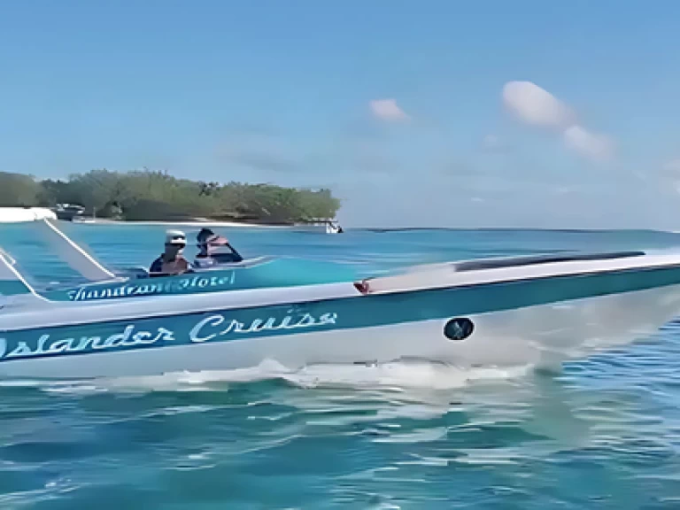 Motorboot mit oder ohne Skipper Cobra mieten in Blue bay