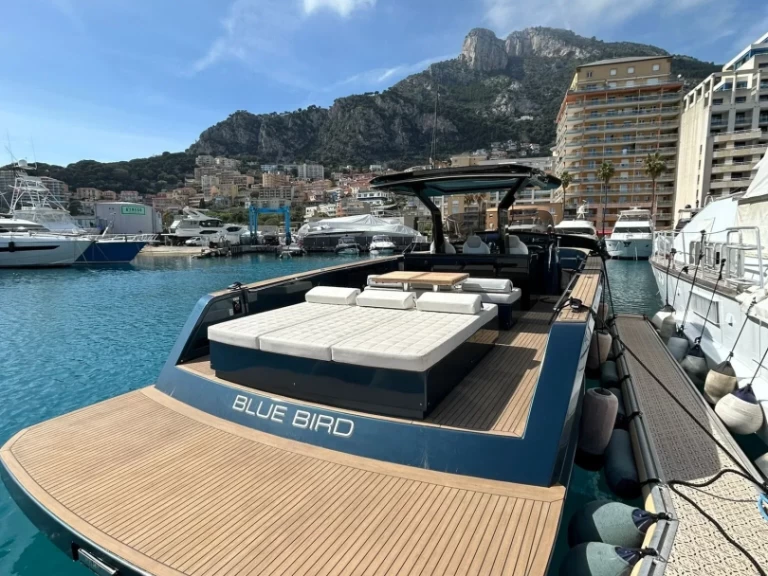 Ein Pardo 43 Blue Bird mieten in Golfe-Juan