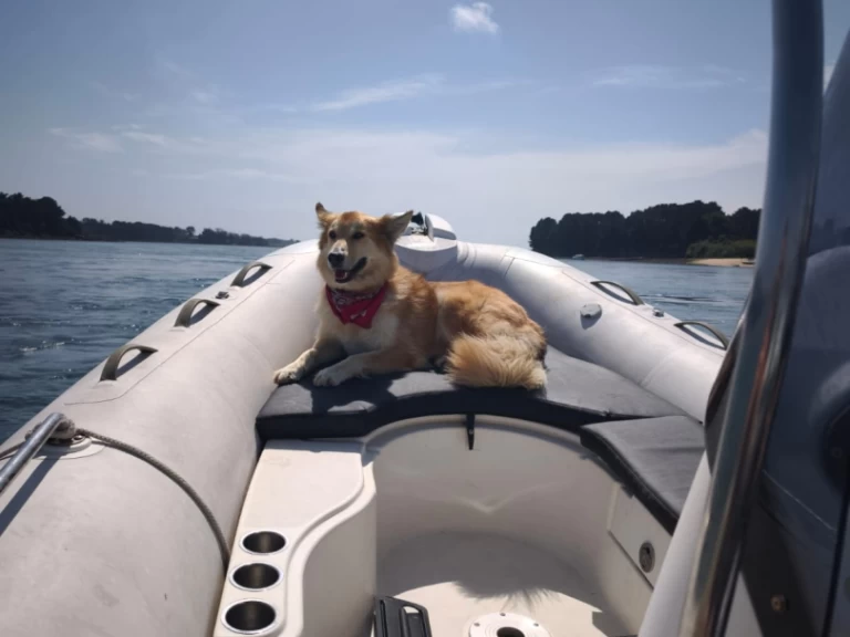 Schlauchboot mit oder ohne Skipper Zodiac mieten in Larmor-Baden