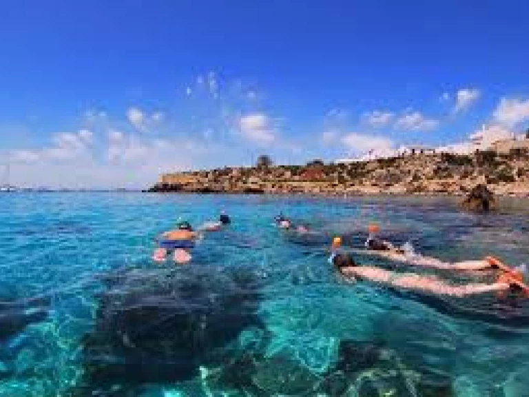 Motorboot mieten in Port d'Alicante - Searib's Searib's Open Fishing 580