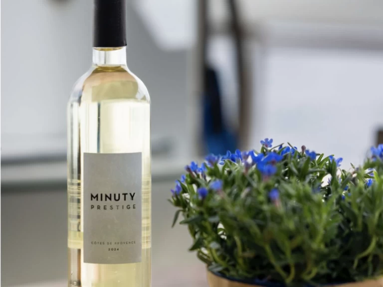 Vermietung Katamaran Lagoon mit Führerschein