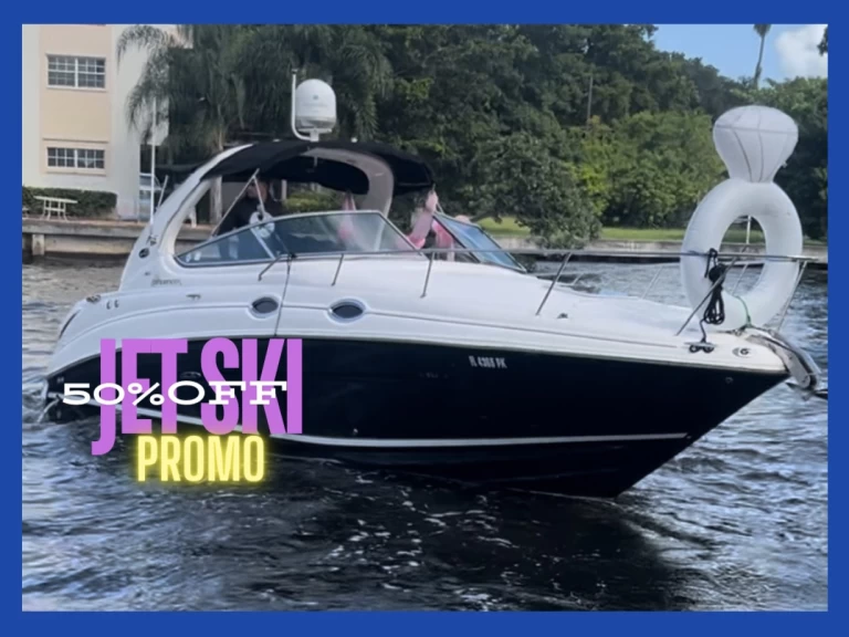 Vermietung Motorboot Sea Ray mit Führerschein