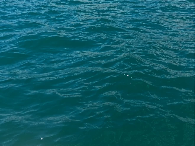 Ein Bénéteau Flyer 650 WA mieten in Le Cap d'Agde