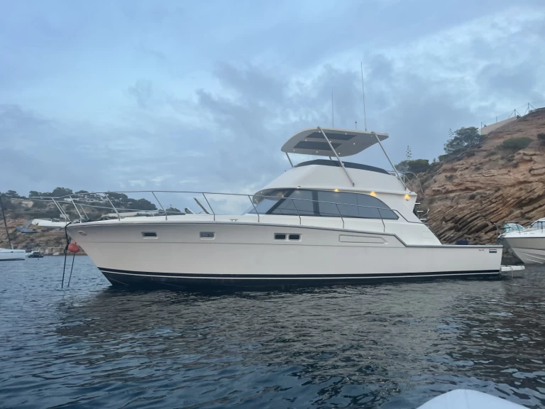 Yacht mieten in Ibiza Town - Bertram Bertram 54