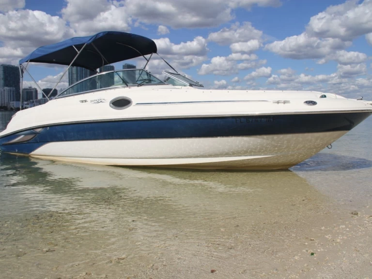 Bootsverleih Sea Ray Sea Ray 260 Sundeck Miami Samboat