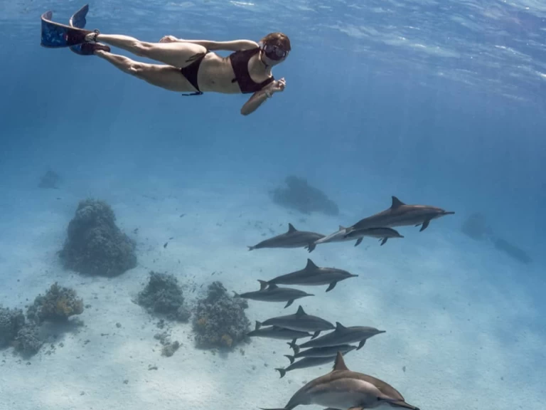 YachtCharter in Marsa Alam - Bali Bali 4.0 auf SamBoat