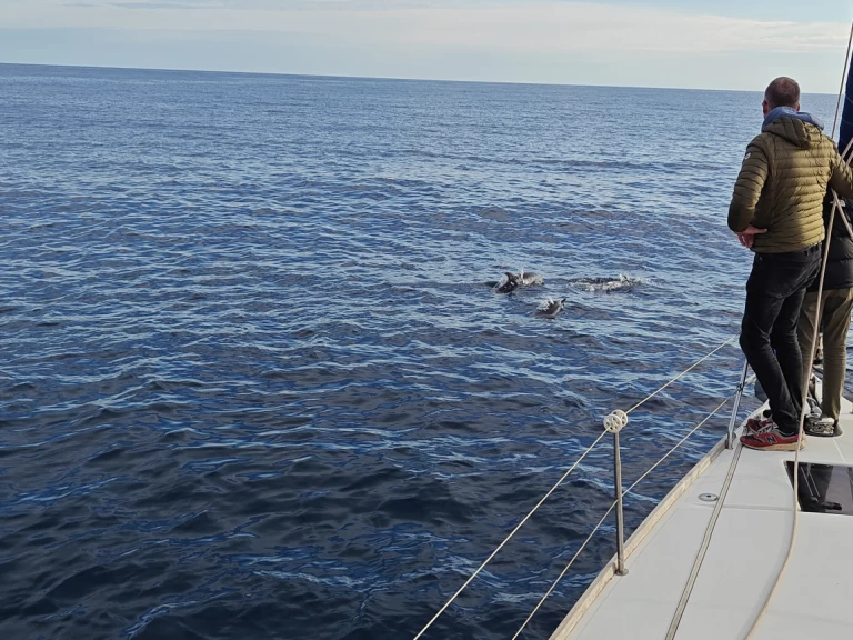 Segelboot mieten in Saint-Cyprien-Plage zum besten Preis