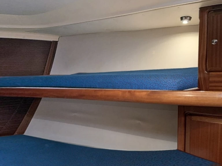 Bootsverleih Bavaria Bavaria 46 Holiday Breege Samboat